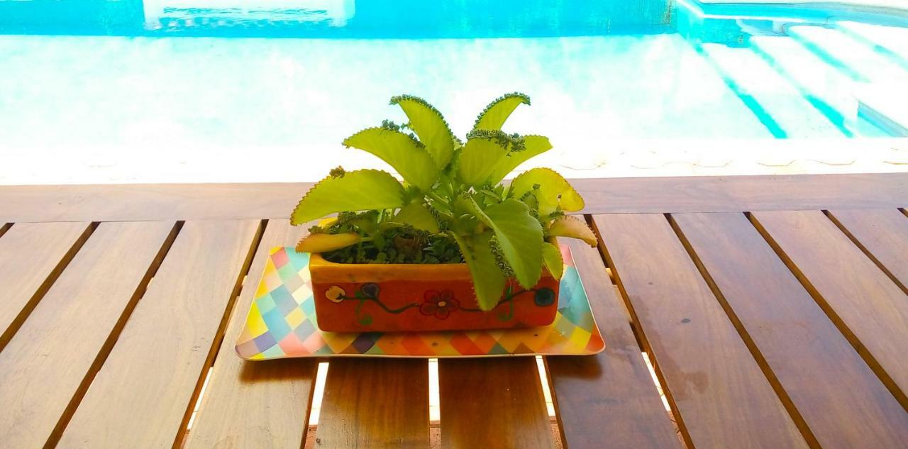 Casas Luna Y Sol - Casa Sol Valladolid  Dış mekan fotoğraf